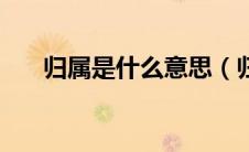 归属是什么意思（归属感是什么意思）