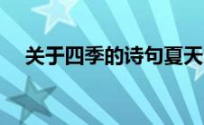 关于四季的诗句夏天（关于四季的诗句）