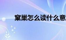 窠巢怎么读什么意思（窠臼怎么读）