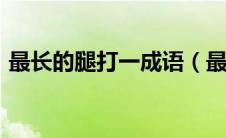 最长的腿打一成语（最短的季节(打一成语)）