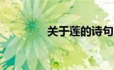 关于莲的诗句（莲的诗句）