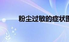 粉尘过敏的症状图片（粉尘过敏）