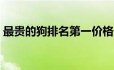 最贵的狗排名第一价格（最贵的狗十大名犬）