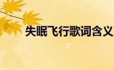 失眠飞行歌词含义（失眠飞行歌词）