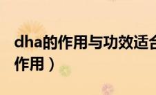 dha的作用与功效适合哪些人群使用（dha的作用）