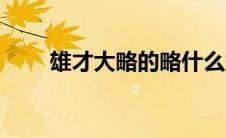 雄才大略的略什么意思（雄才大略）