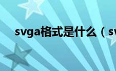 svga格式是什么（svg是什么文件格式）