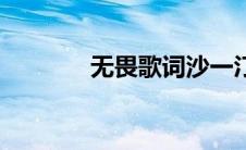 无畏歌词沙一汀（无畏歌词）