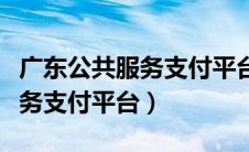 广东公共服务支付平台怎么缴费（广东公共服务支付平台）