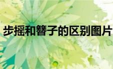 步摇和簪子的区别图片（步摇和簪子的区别）