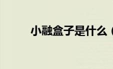 小融盒子是什么（小融盒子官网）