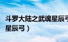 斗罗大陆之武魂星辰弓小说（斗罗大陆之武魂星辰弓）