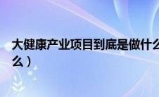 大健康产业项目到底是做什么（大健康产业的创业项目有什么）
