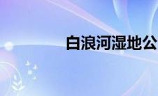 白浪河湿地公园（白浪河）