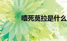 噎死莫拉是什么话（噎死莫拉）