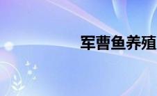 军曹鱼养殖（军曹鱼）