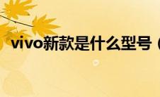 vivo新款是什么型号（vivo新款手机型号）