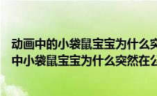动画中的小袋鼠宝宝为什么突然在公园的椅子上昏迷（动画中小袋鼠宝宝为什么突然在公园的长椅上昏迷）