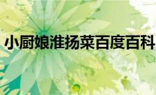 小厨娘淮扬菜百度百科（小厨娘淮扬菜官网）