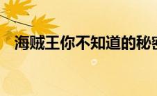 海贼王你不知道的秘密（海贼王d的秘密）