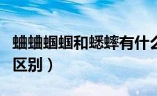 蛐蛐蝈蝈和蟋蟀有什么区别（蛐蛐蝈蝈蟋蟀的区别）