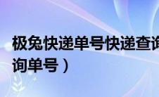 极兔快递单号快递查询一下（极兔快递官网查询单号）