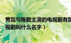 黄磊与陈数主演的电视剧有那些（黄磊和陈数主演的那部电视剧叫什么名字）