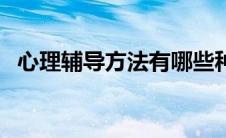 心理辅导方法有哪些种类（心理辅导方法）