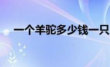 一个羊驼多少钱一只（羊驼多少钱一只）