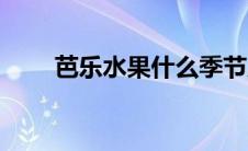 芭乐水果什么季节成熟（芭乐水果）