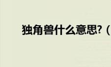 独角兽什么意思?（独角兽什么意思）