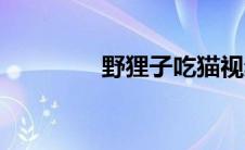 野狸子吃猫视频（野狸子）