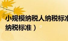 小规模纳税人纳税标准一季度（小规模纳税人纳税标准）