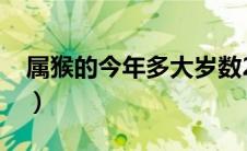 属猴的今年多大岁数2024（属猴的今年多大）