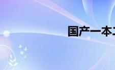 国产一本二本三本