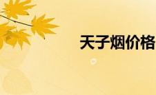 天子烟价格（天子烟）