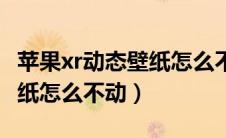 苹果xr动态壁纸怎么不动了呢（苹果xr动态壁纸怎么不动）