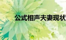 公式相声夫妻现状离婚（公式相声）