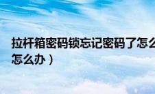 拉杆箱密码锁忘记密码了怎么打开（拉杆箱密码锁忘记密码怎么办）