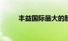 丰益国际最大的股东（丰益国际）