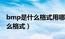 bmp是什么格式用哪个软件打开（bmp是什么格式）