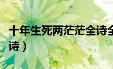 十年生死两茫茫全诗全词（十年生死两茫茫全诗）