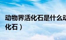动物界活化石是什么动物（什么是动物界的活化石）