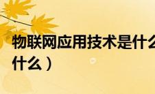 物联网应用技术是什么科（物联网应用技术是什么）