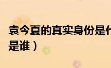 袁今夏的真实身份是什么（袁今夏的历史原型是谁）