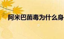 阿米巴菌毒为什么身体缩小（阿米巴菌）