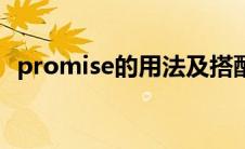promise的用法及搭配（promise的用法）