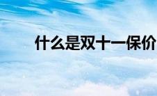 什么是双十一保价（什么是双十一）