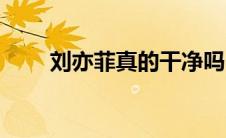 刘亦菲真的干净吗（刘亦菲的干爹）