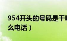 954开头的号码是干嘛的（9540开头的是什么电话）